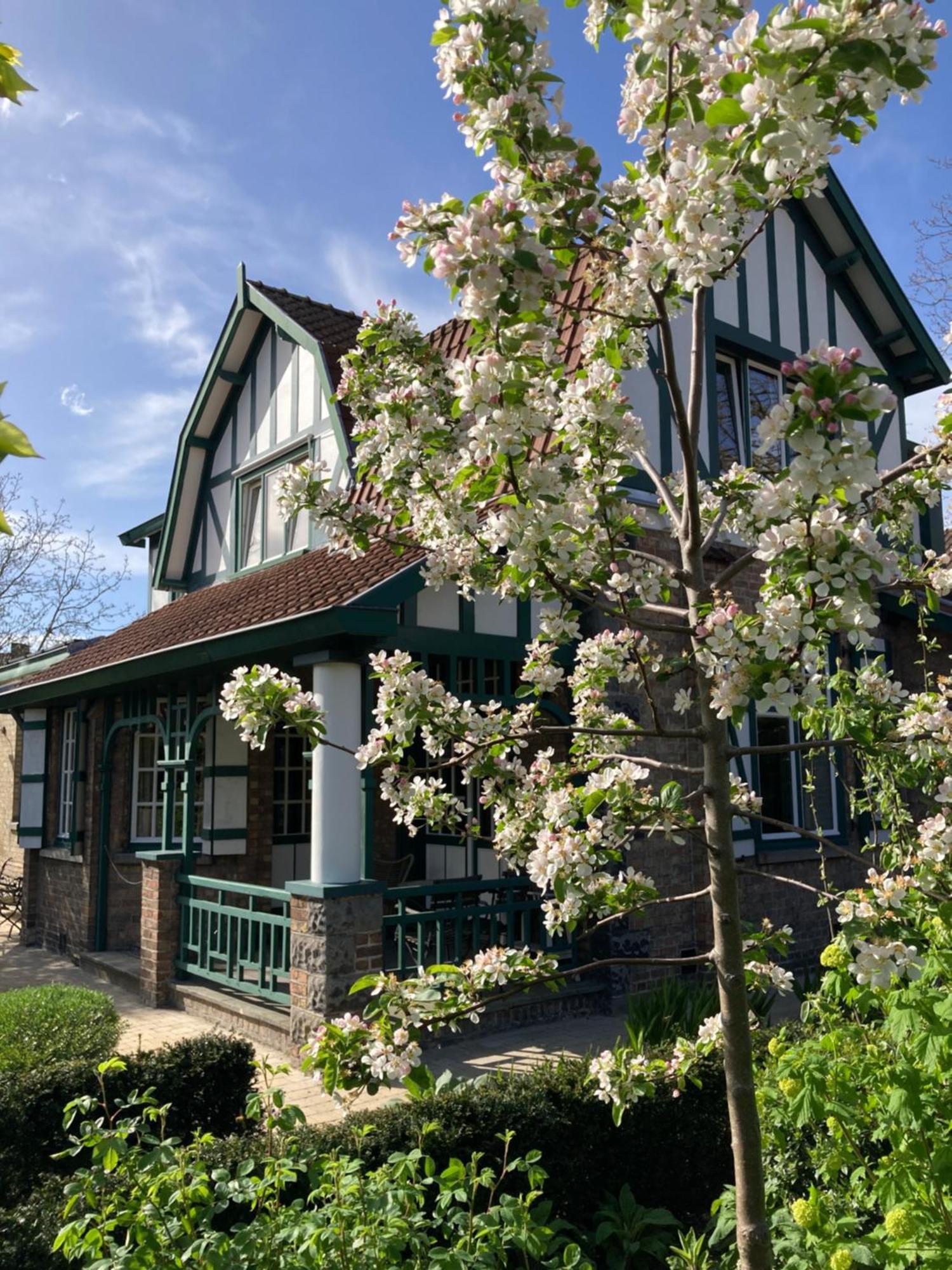 Bed and Breakfast Tree & B Brujas Exterior foto