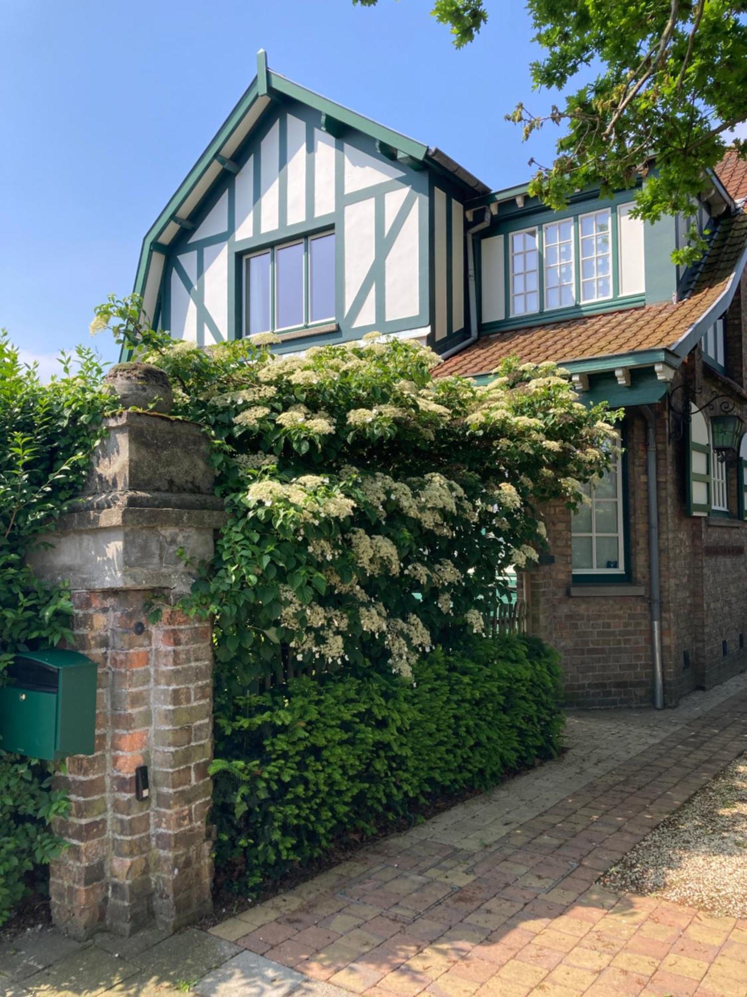 Bed and Breakfast Tree & B Brujas Exterior foto