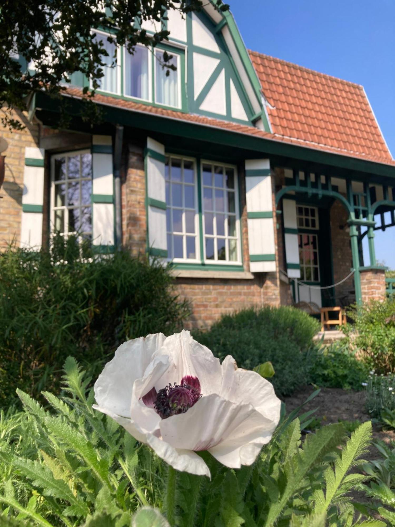 Bed and Breakfast Tree & B Brujas Exterior foto